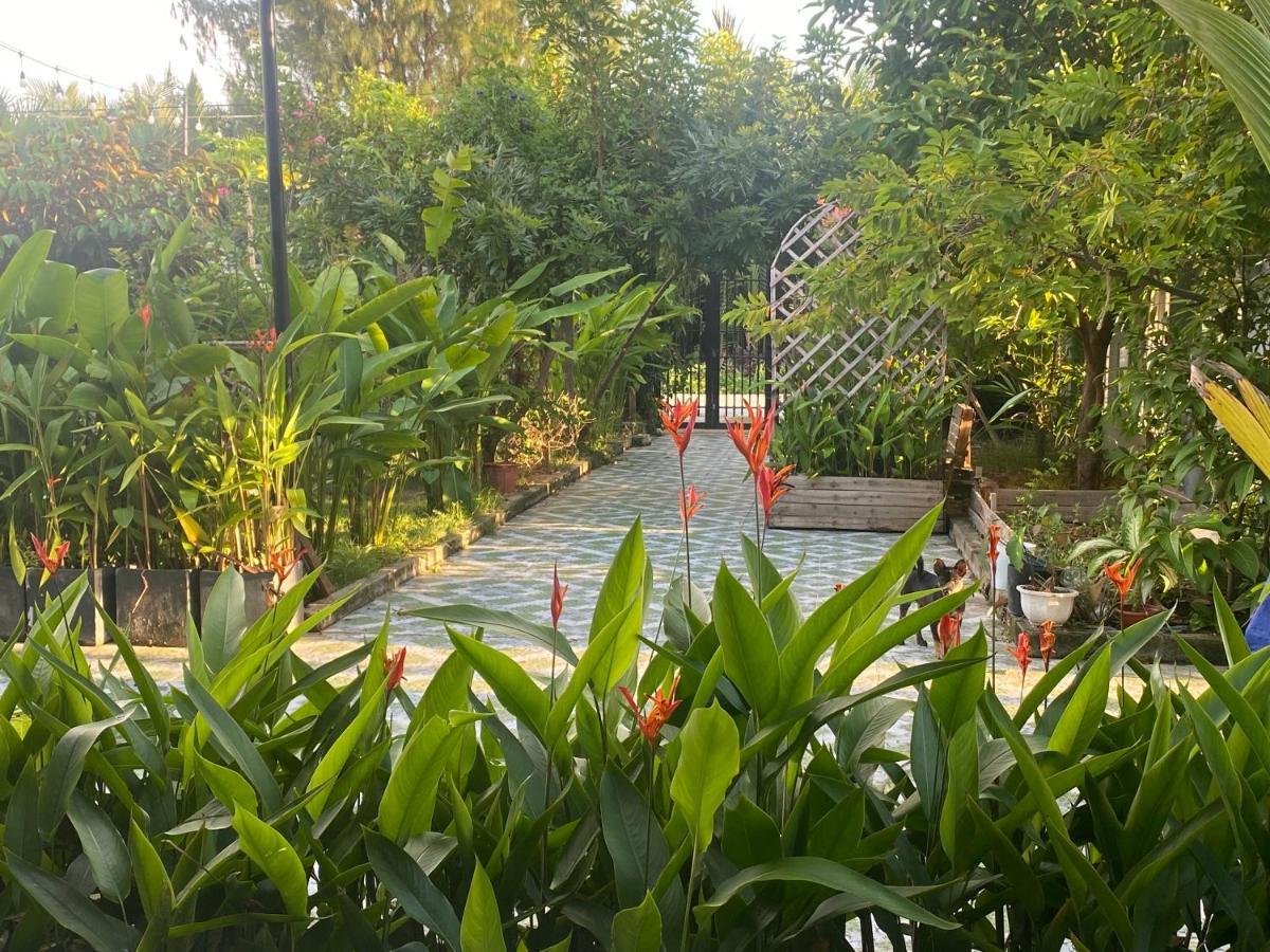 Laoxao Homestay Hoi An Luaran gambar