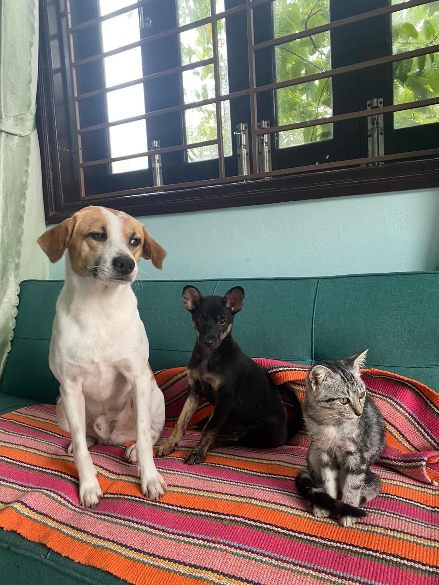 Laoxao Homestay Hoi An Luaran gambar